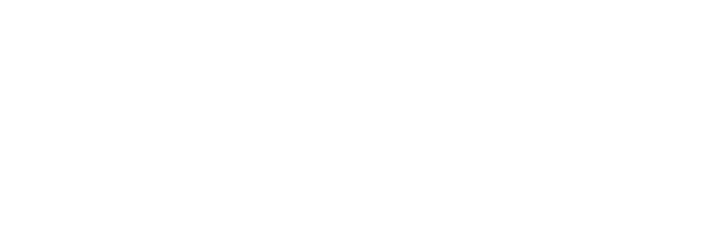einfach software GmbH